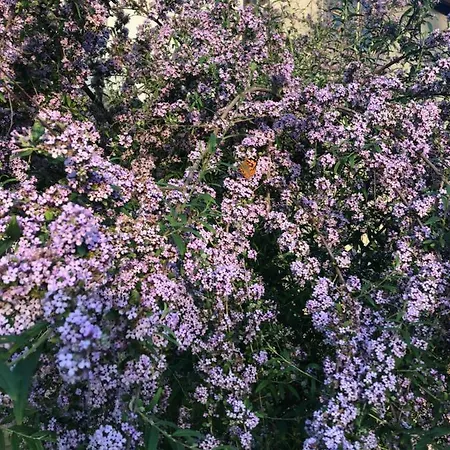 Reef Апартаменты